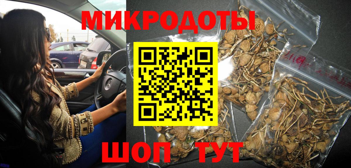 Псилоцибиновые грибы GOLDEN TEACHER Калининград
