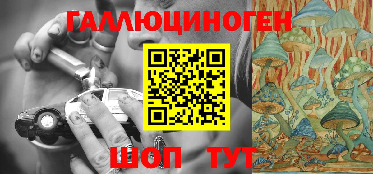 Псилоцибиновые грибы прущие грибы  Вход с VPN  Псилоцибиновые грибы Psilocybine cubensis  Калининград 